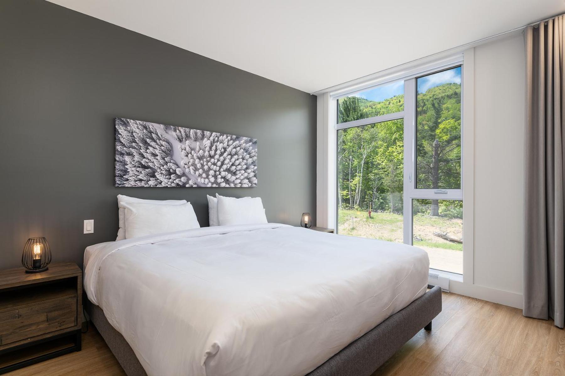 Les Appartements Du Massif De Charlevoix Petite-Riviere-Saint-Francois Habitación foto